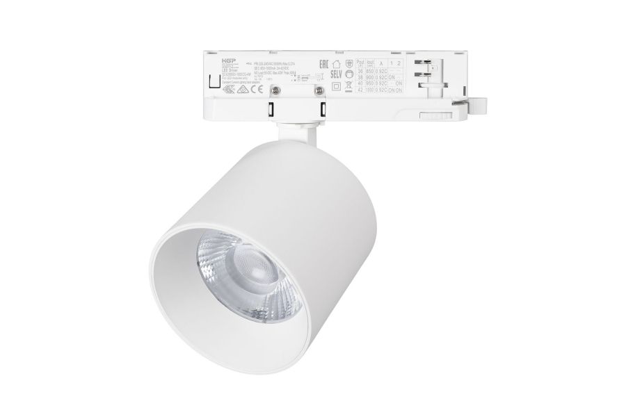 Трековый трехфазный светильник Arlight LGD-DYKE-4TR-R100-36W Day4000 (WH, 20 deg, 230V, DALI) (IP20 Металл) 058696