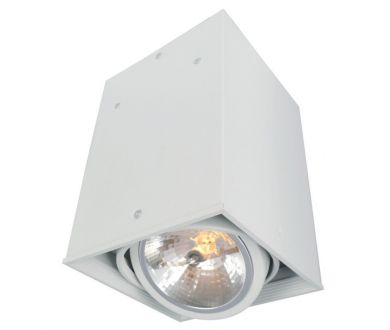 Купить Потолочный светильник Arte Lamp Cardani A5936PL-1WH Потолочный светильник Arte Lamp Cardani A5936PL-1WH
