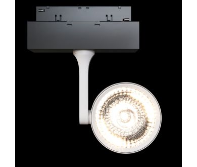 Трековый светильник Maytoni Oko TR024-2-10W3K