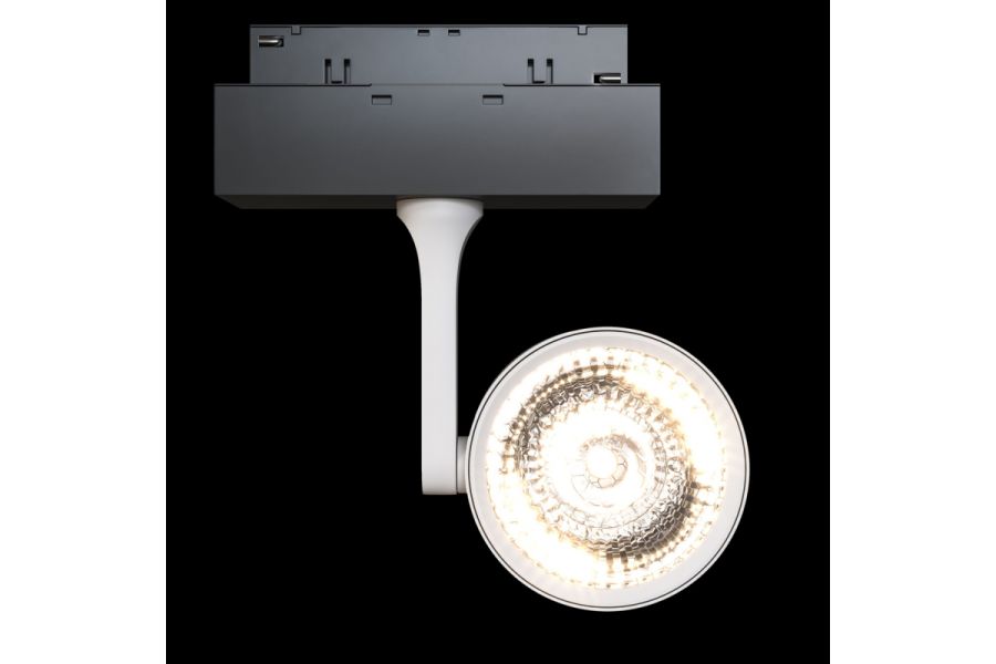 Трековый светильник Maytoni Oko TR024-2-10W3K