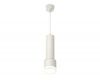 Подвесной светильник Ambrella Light Techno spot (A2301, C6355, A2101, C8110, N8399) XP8110009