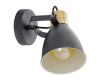 Спот Eglo Coswarth 901174