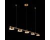 Подвесная светодиодная люстра ST Luce Pances SL6000.303.05
