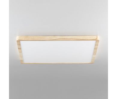 Потолочный светильник Citilux Бейсик CL738K502V