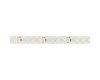 Светодиодная лента Arlight RZ-A160-15mm 24V White6000 (19.2 W/m, IP20, 2835, 5m) 036016