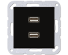 Розетка USB Jung MAA1153SW