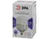 Лампа светодиодная Эра E40 120W 6500K LED POWER T160-120W-6500-E27/E40 Б0049104