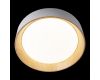 Потолочный светильник Loft IT Coin 10202 White