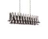 Подвесная люстра Loft IT Lilou 10600/1200R Ash