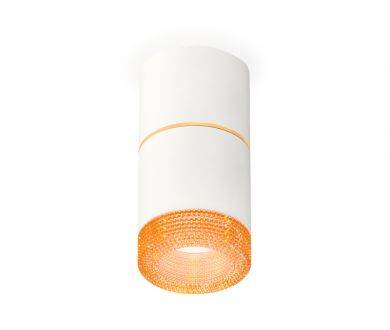 Купить Потолочный светильник Ambrella Light Techno Spot XS7401202 (C7401, A2072, C7401, N7195) Потолочный светильник Ambrella Light Techno Spot XS7401202 (C7401, A2072, C7401, N7195)