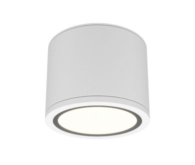 Накладной светильник Maytoni Rendo C095CL-GX53-W