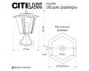 Ландшафтный светильник Citilux Forts CLU10C