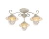 Потолочная люстра Arte Lamp 6 A4579PL-3WG