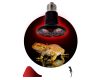 Инфракрасная лампа для брудера, рептилий Эра CeramiHeat FITO-100W-НQ Б0052715