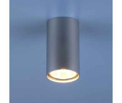 Потолочный светильник Elektrostandard 1081 5257 GU10 SL серебро 4690389104381