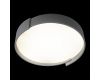 Потолочный светильник Loft IT Coin 10200 Grey