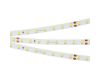 Светодиодная лента Arlight RT-A80-8mm 24V Day5000 (6 W/m, IP20, 2835, 5m) 024511(2)
