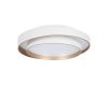Потолочный светильник Freya Layer FR6085CL-L72WG