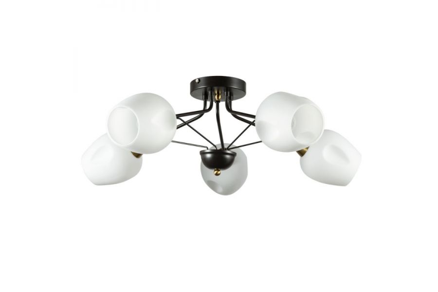 Потолочная люстра ARTE Lamp A2706PL-5CK