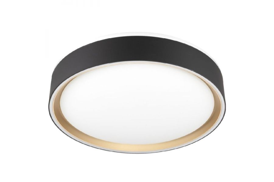 Потолочный светильник Citilux Boss CL751251G