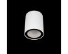 Накладной светильник Loft IT Rush 10344 White