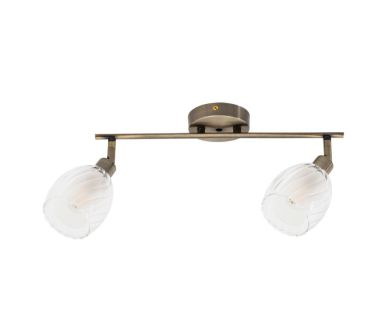 Спот Arte Lamp Biham A3184PL-2AB