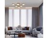 Потолочная люстра Escada Starlight 10273/6LED