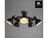 Потолочная люстра Arte Lamp Martin A5216PL-5BR