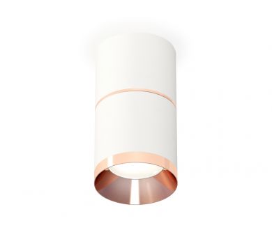 Купить Потолочный светильник Ambrella Light Techno Spot XS7401221 (C7401, A2073, C7401, N7035) Потолочный светильник Ambrella Light Techno Spot XS7401221 (C7401, A2073, C7401, N7035)