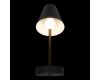 Бра Loft IT Shelf 10216/1W Black