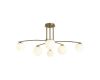 Потолочная люстра Freya Hanger FR5443CL-06BS