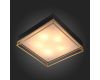 Накладная люстра ST-Luce SL1127.422.05