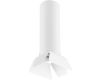 Потолочный светильник Lightstar RULLO R496436 (214496+202436)