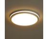 Потолочный светильник Freya Rua FR6160CL-L40W