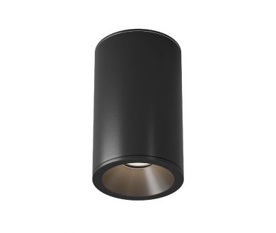 Накладной светильник Maytoni Zoom C029CL-01-S-B