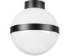 Потолочный светильник Lightstar Globo 812117