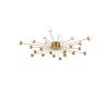 Потолочная люстра Freya Celebrity FR5242CL-24BS