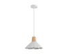 Подвесной светильник Lumion Suspentioni Eoliana 8352/1A