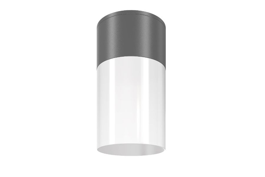Уличный потолочный светильник Maytoni Willis O418CL-01GR