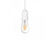 Подвесной светильник Loft IT Sherwood 10091