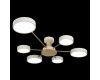 Потолочная люстра Loft IT Sunrise 10316/6 White