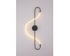 Настенный светильник Arte Lamp Klimt A2850AP-13BK