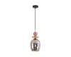 Подвесной светильник Lumion Moderni Irime 8297/1A