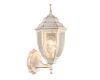 Уличный настенный светильник Arte Lamp Pegasus A3151AL-1WG