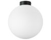 Потолочный светильник Lightstar Globo 812037