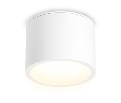 Накладной светильник Ambrella Light IP Protect TN6550