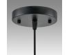 Подвесной светильник Lumion Suspentioni Leonela 8052/1A