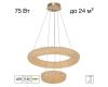 Подвесная люстра Citilux Cloudy CL323172