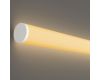 Гибкий неон Maytoni Led Strip 24В 14,4Вт/м 2700К 5м IP65 20300