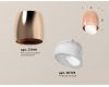 Потолочный светильник Ambrella Light Techno Spot XS1144021 (C1144, N7175)